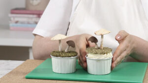 Cupcake top decorated with mushrooms and some moss